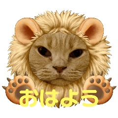 hana_20250203151302