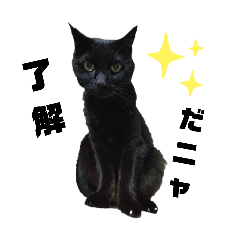 himawari_20250203170139