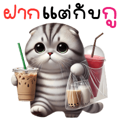 แมวเทา-คำแชทจิกกัดเบาๆ4