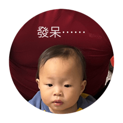 語芯豬豬寶貝3
