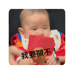 偶素小少爺2