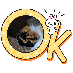 himawari_20250203170055