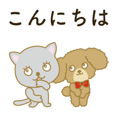 Cute kitten and toy poodle