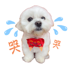小Q是我的寶貝