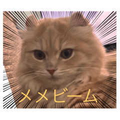 haruharu_20250203163514