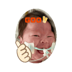 zen_20250204020759