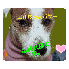 green peas L