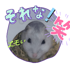 saya_20250203171814