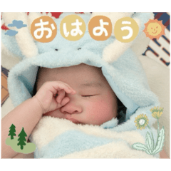 karasi_20250203171514