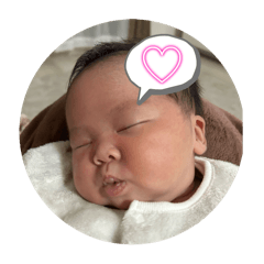 konokono_20250203142328