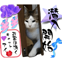 Shun_20250202214029