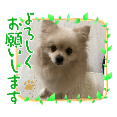 eri_20250203142450
