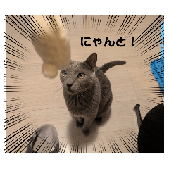 masakichi_20250203151035