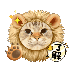 Yanagi_20250203182211
