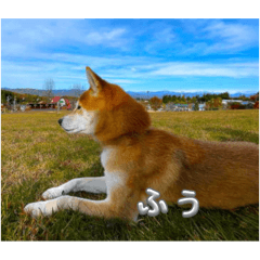 Fu_20250203175133