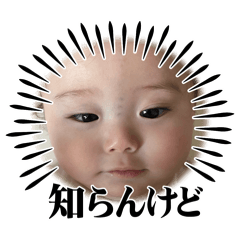 yukki_20250203183505