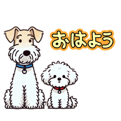 Haruka_20250203153354