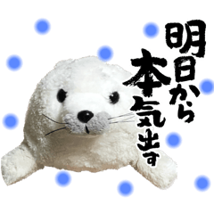 YUKINKO_20250202205019