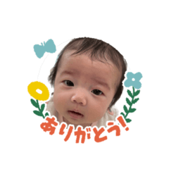 yuki_20250203175717