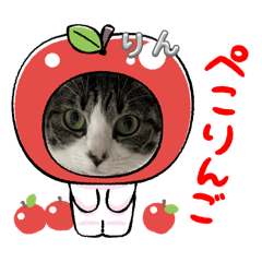 nicorin_20250203203847