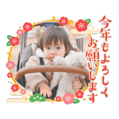 miho_20250204111150