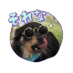 haru_20250204120315