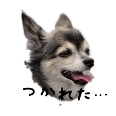 hi_20250203223522