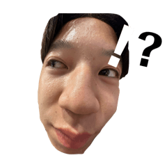 sho_20250203194138