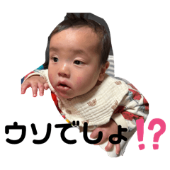 hsmjy_20250203212426