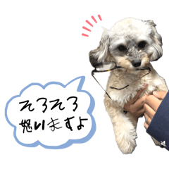 momoe5_20250203232455