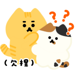 Chou's Cat Couple Daily