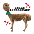 ALPACAFEのLINE スタンプ・絵文字一覧 | LINE STORE