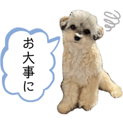 momoe5_20250203220654