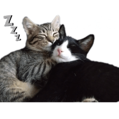 Noa&Leo_HRK