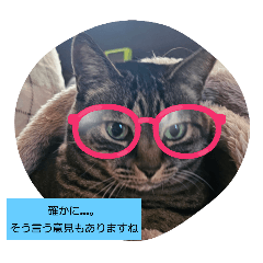kuro_20250203225701