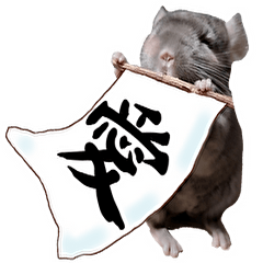 Chinchilla Ria Daily Stickers