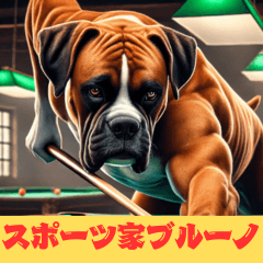 Bruno the Boxer: Sports Adventures