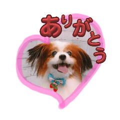 miho_20250204030656