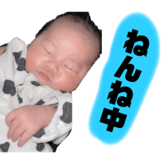 mao_20250204023908