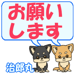 Jiroumaru's letters Chihuahua2 (2)