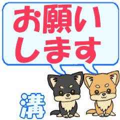 Mizo's letters Chihuahua2