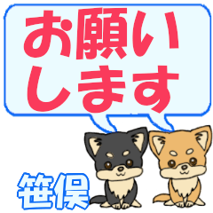 Sasamata's letters Chihuahua2