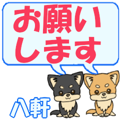 Hachiken's letters Chihuahua2