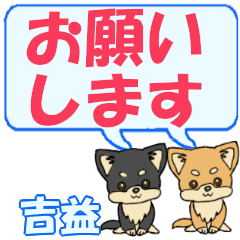 Yoshimasu's letters Chihuahua2 (2)