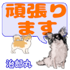Jiroumaru's letters Chihuahua (2)