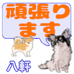 Hachiken's letters Chihuahua