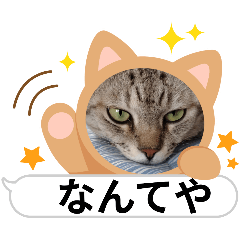 chihiro_20250204081051