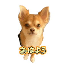 Azu_20250204120945