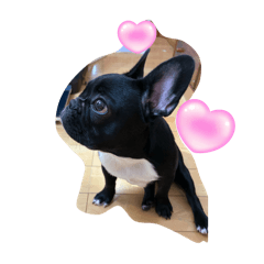 morima_20250204122336