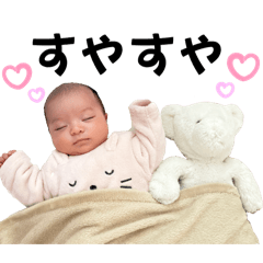 shiho_20250204122442